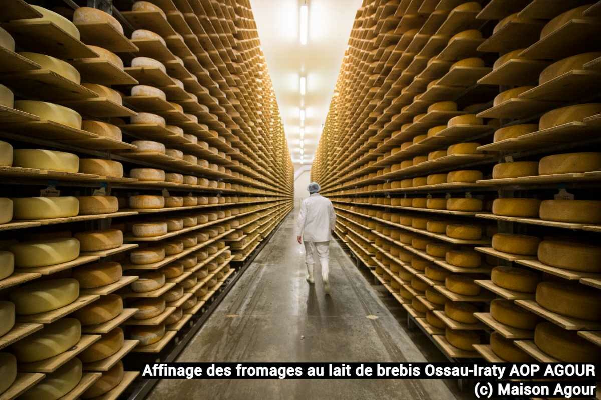 Agour affinage fromages Ossau-Iraty