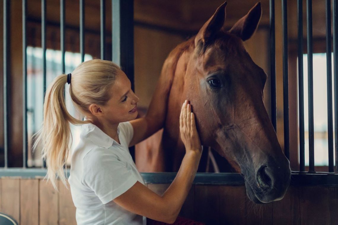 une appli de rencontre entre un cavalier et son cheval