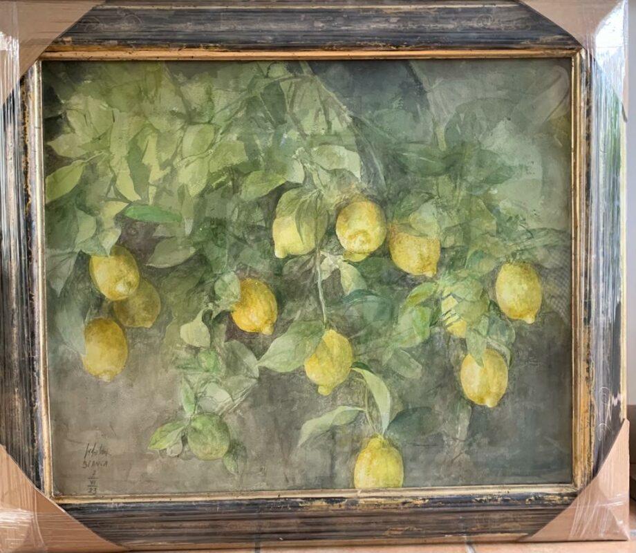 Citrons Pedro Cano aquarelliste