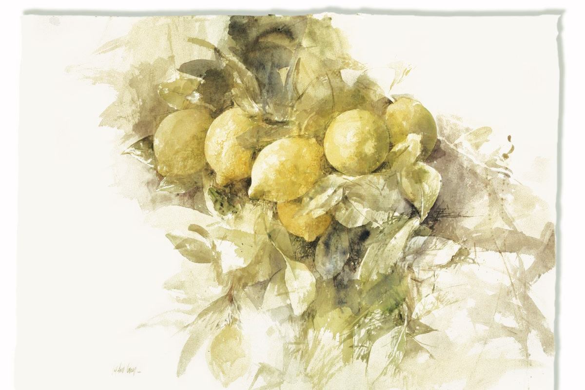 Citrons Pedro Cano aquarelliste