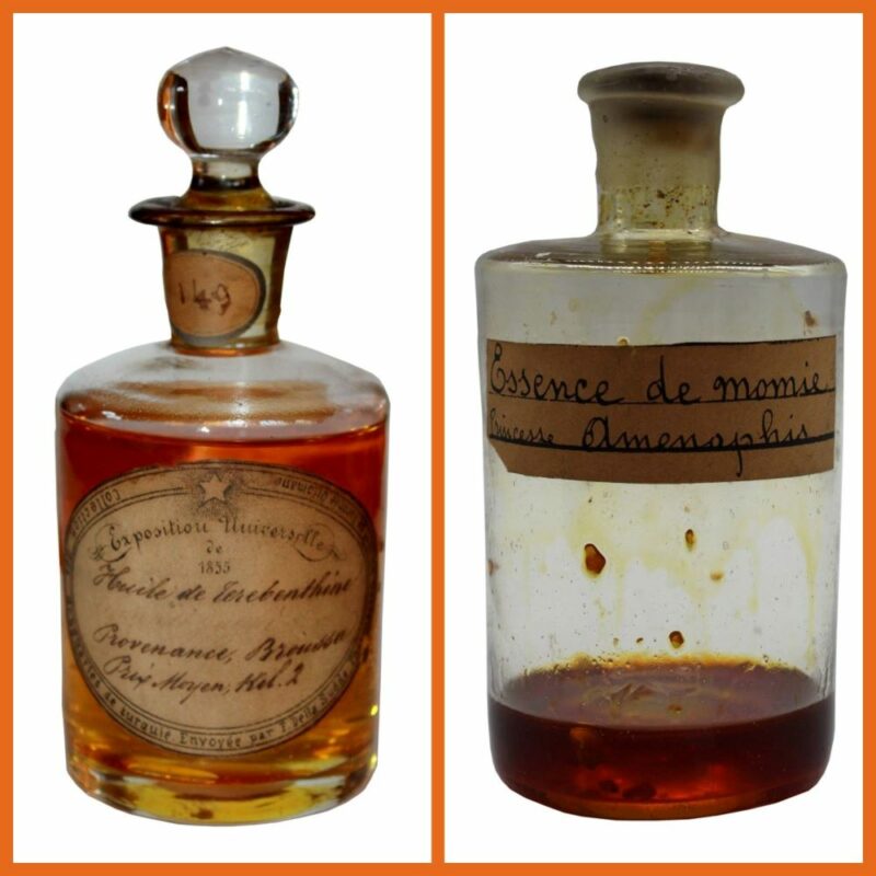 musée François Tillequin - Collections de Matière Médicale