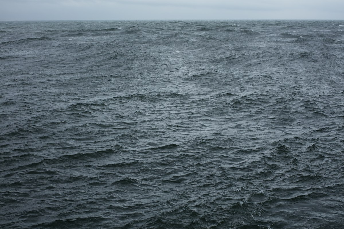 Wolfgang TILLMANS, The State We're In, A, 2025.