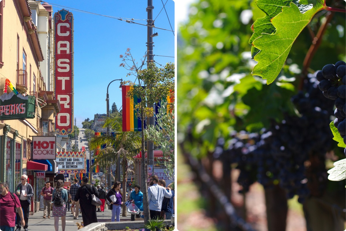 Embrasser l'autre rive : Vin et réalisation de soi