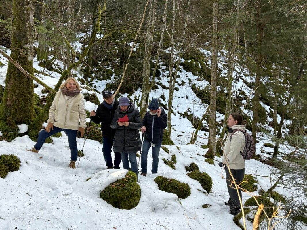 Visite des familles en for&ecirc;t cin&eacute;raire.