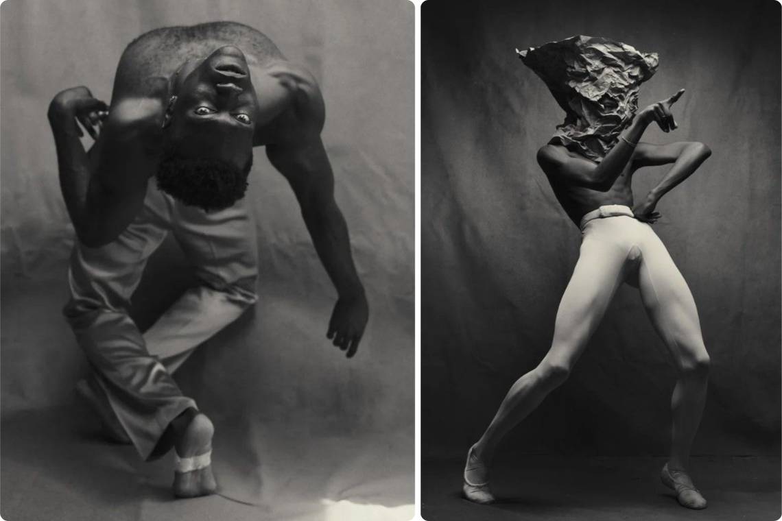 Pieter Henket Birds of New York